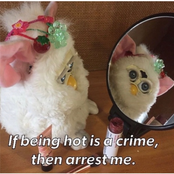 Meet your Posher, Krystal - Picture 6 of 16